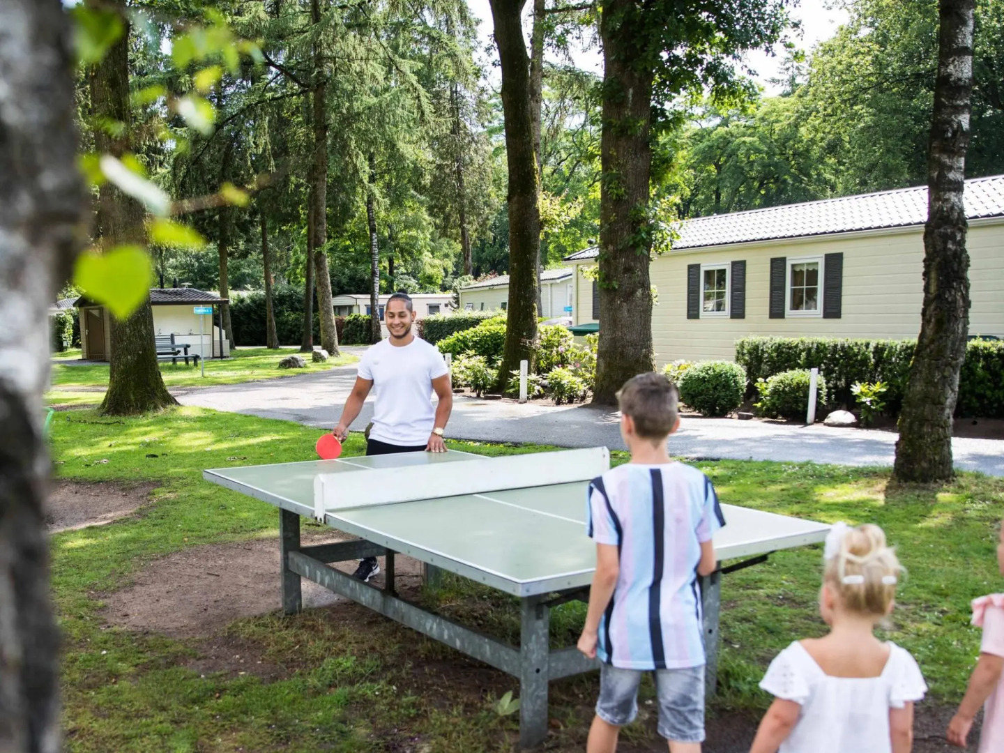 Holiday home with sauna and two hottubs, in a holiday park near the Veluwe
