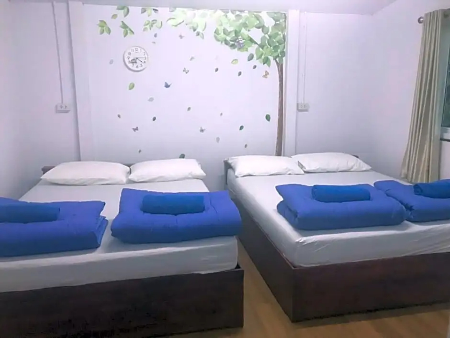 Tree in town ทรีอินทาวน์