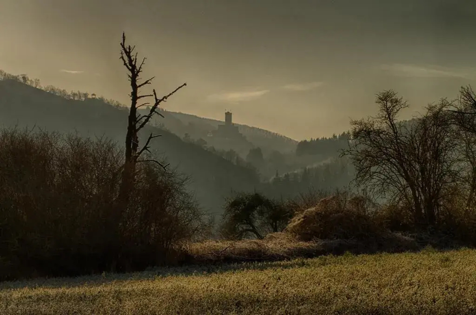 Pension Haus am Walde