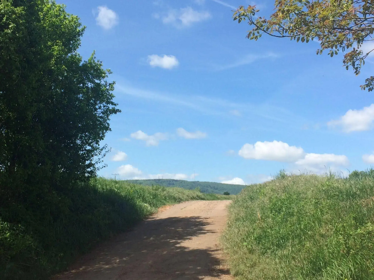 Parkhotel Schillerhain