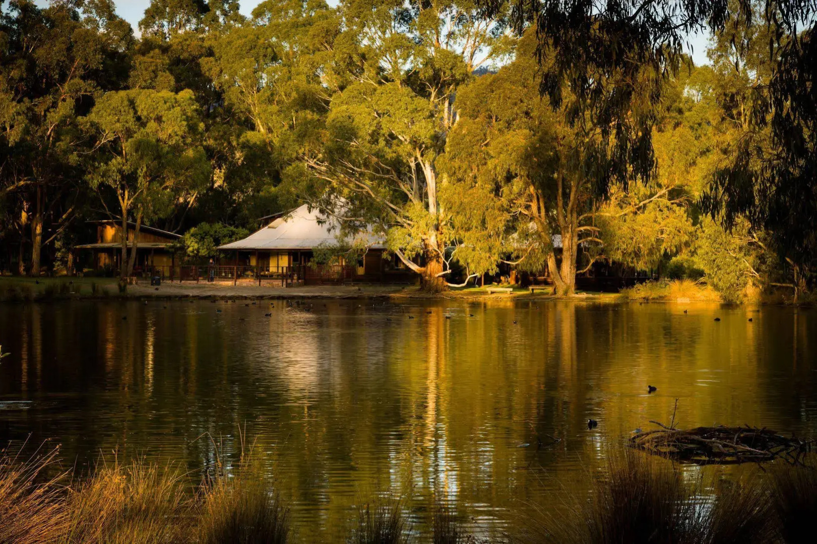 The Burrow At Wombat Bend