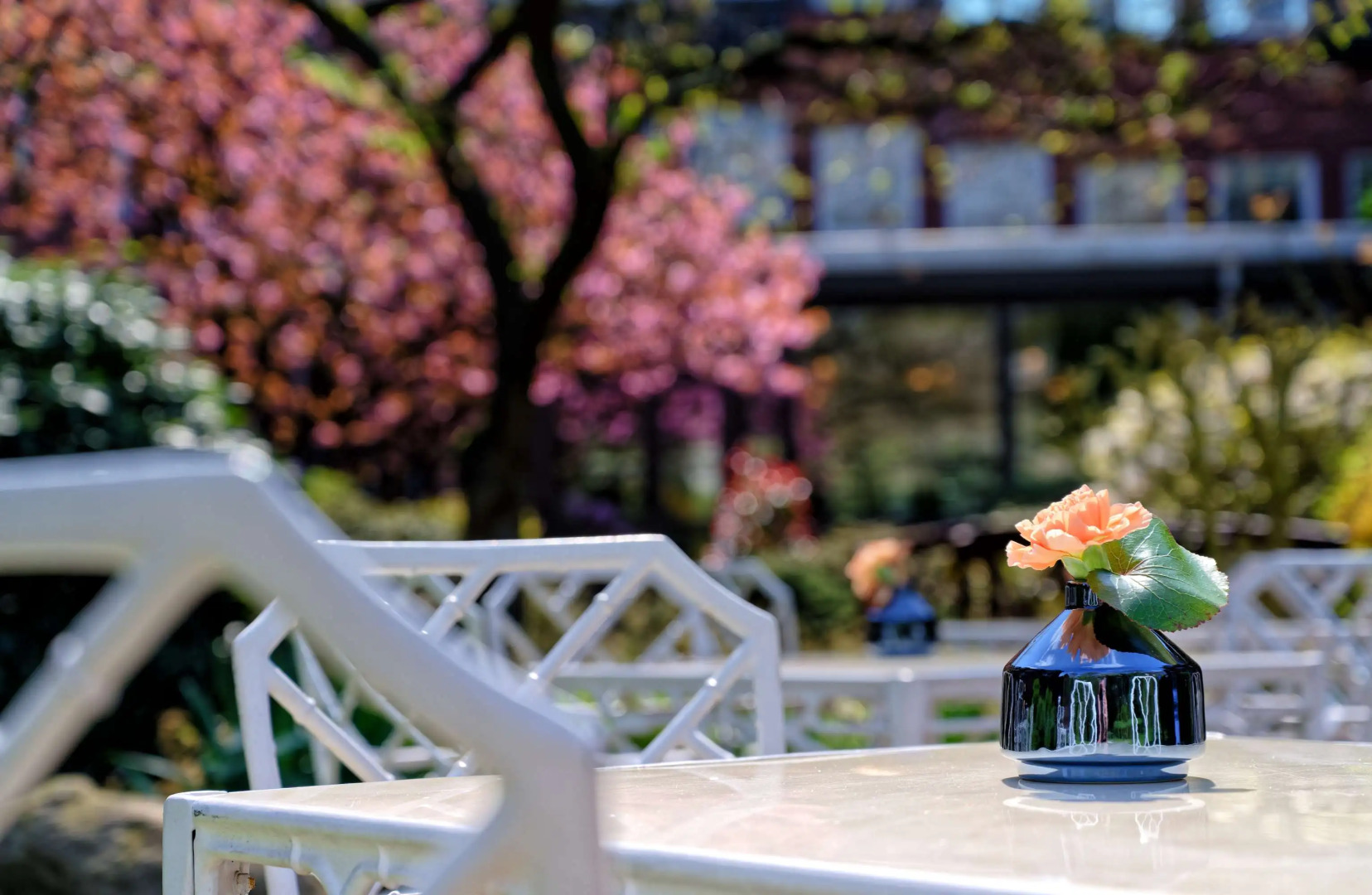 ATLANTIC Hotel Landgut Horn