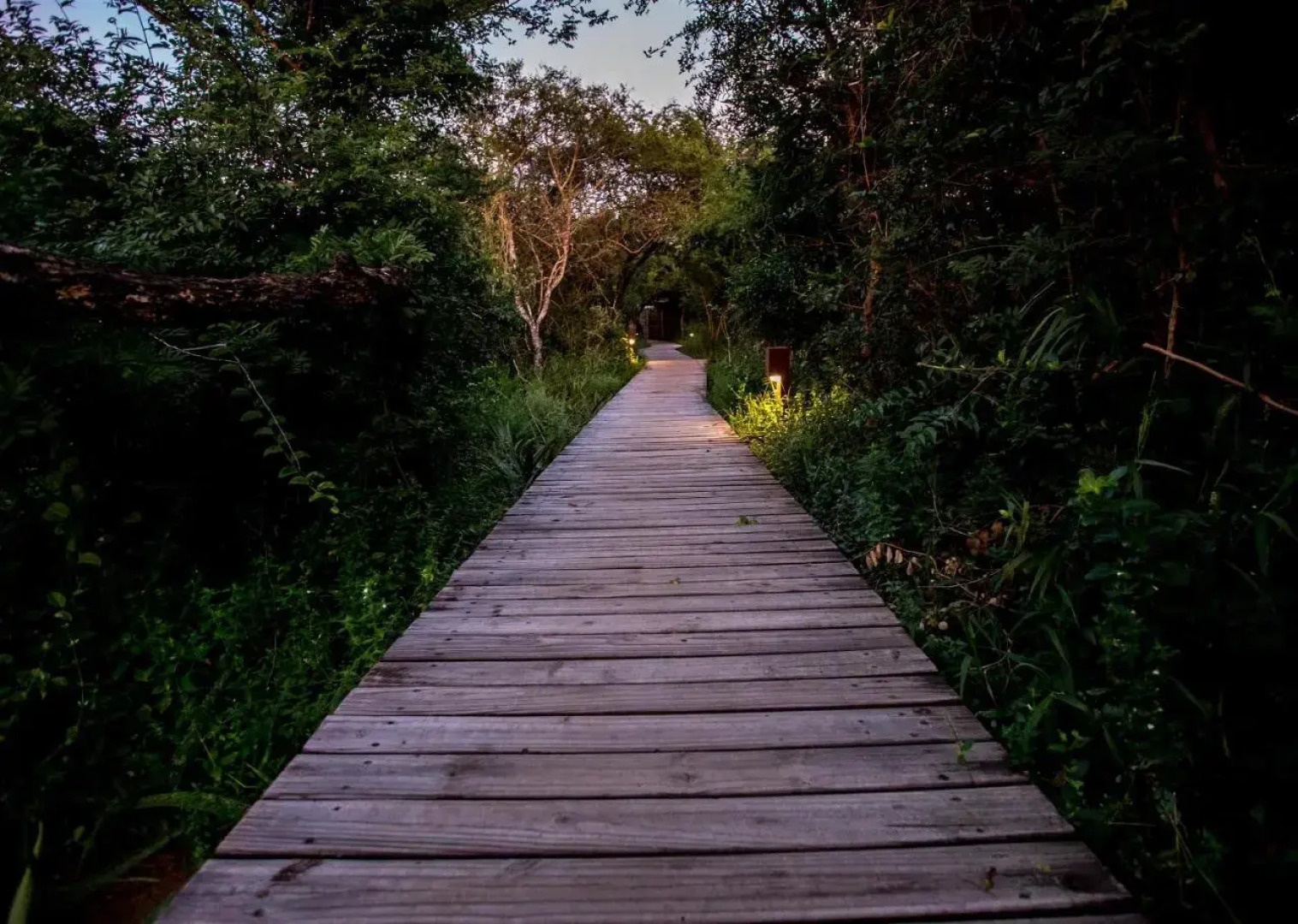 Royal Thonga Safari Lodge