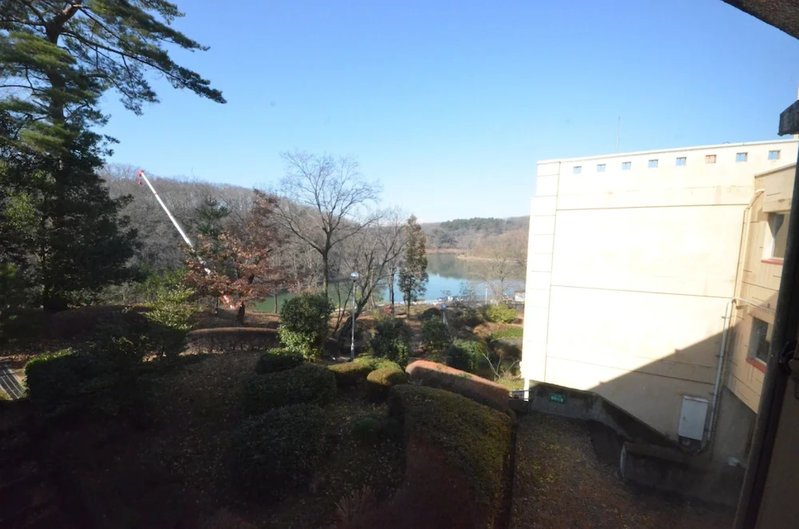 Friendship Heights Yoshimi