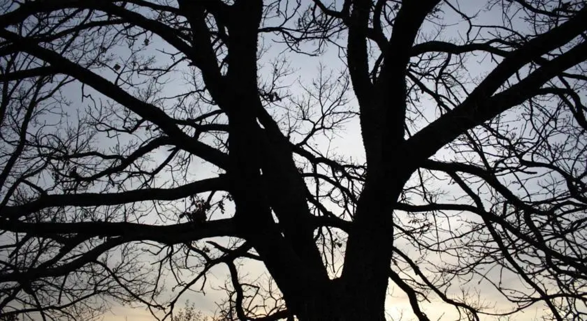 Grazioso Appartamento Indipendente