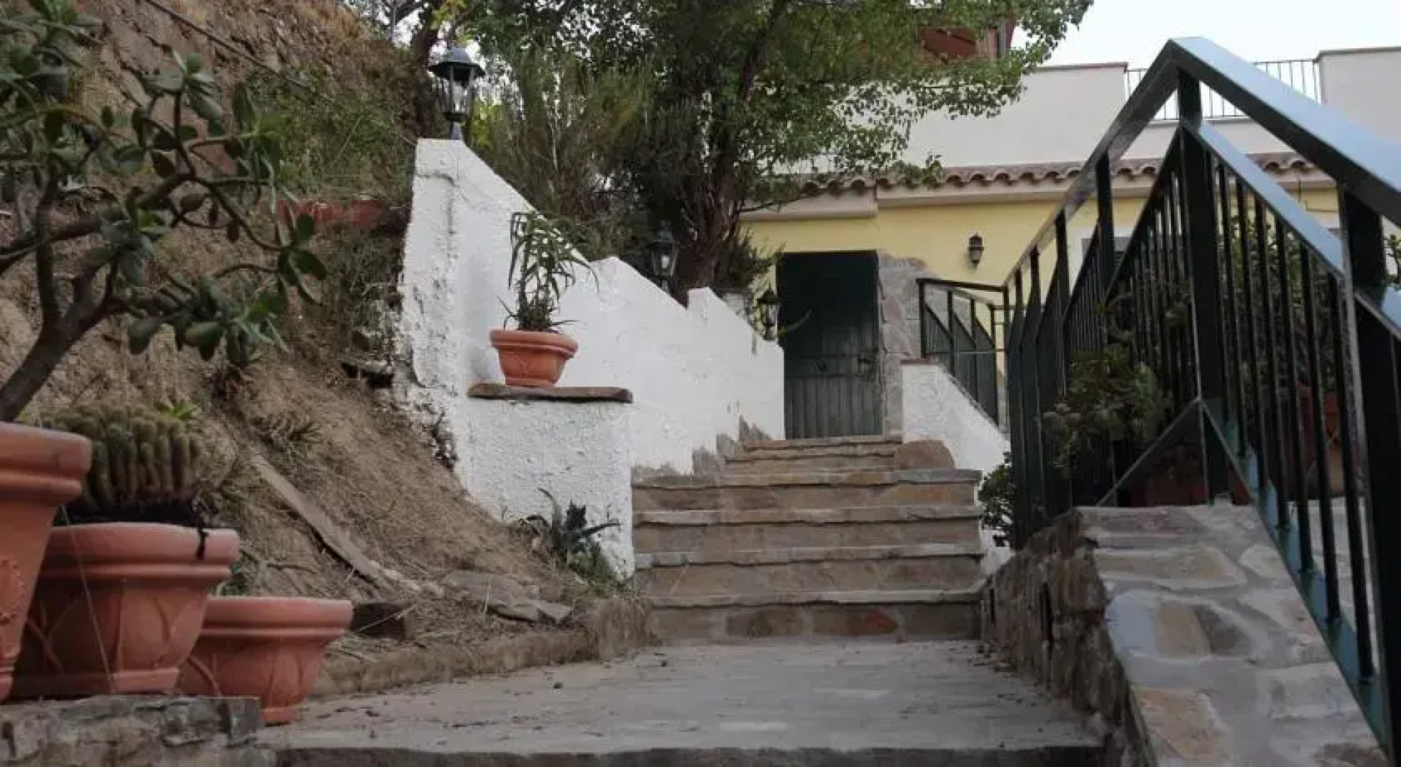 La gatta del cilento