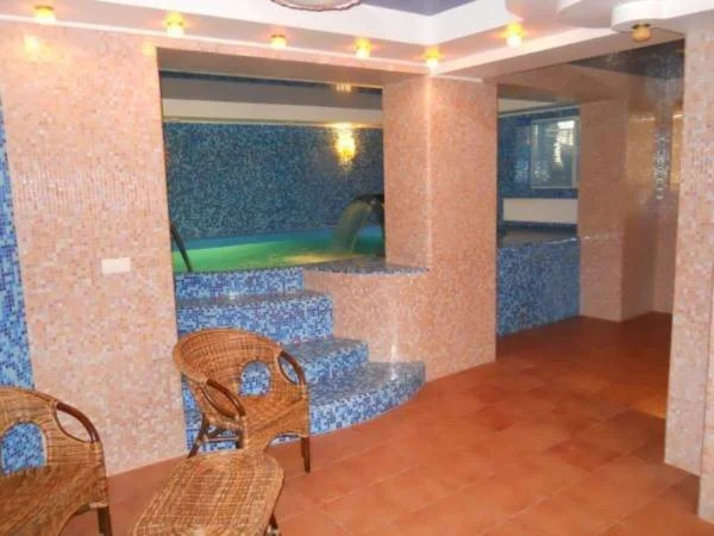 Цвит Папороти