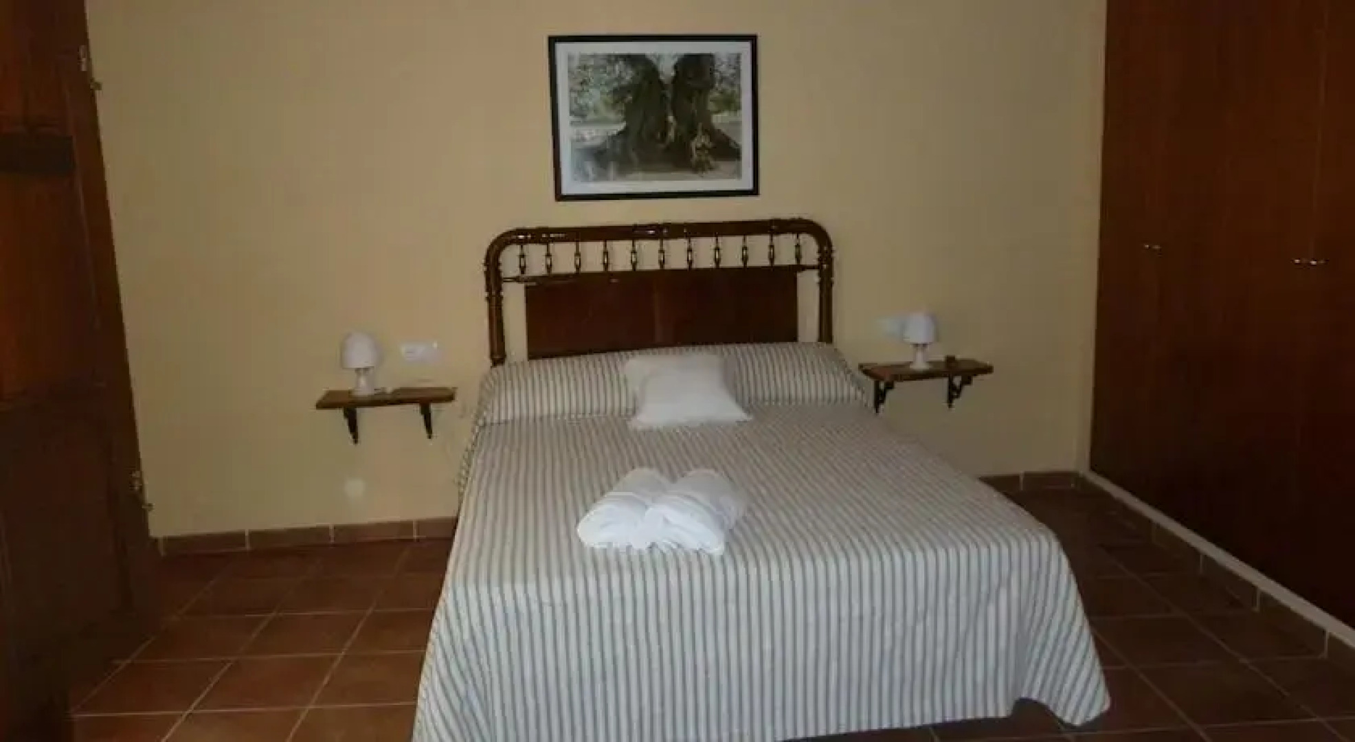 Les Oliveres Mil·lenàries