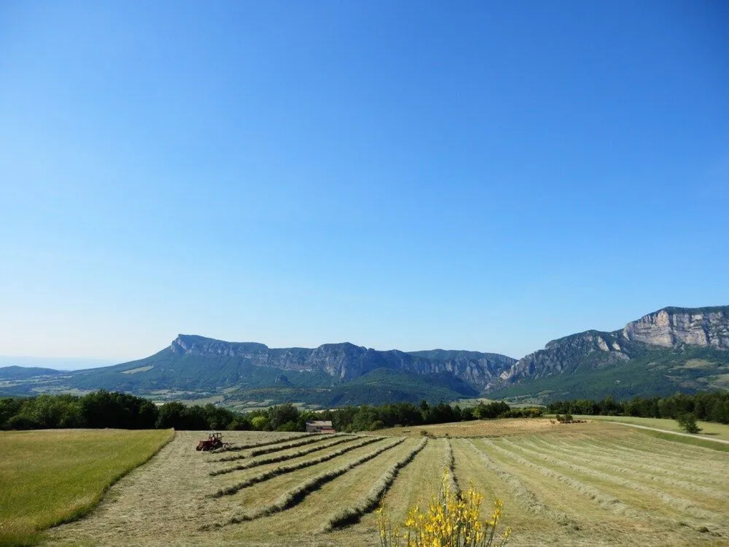 Ferme bio Le Panicaut