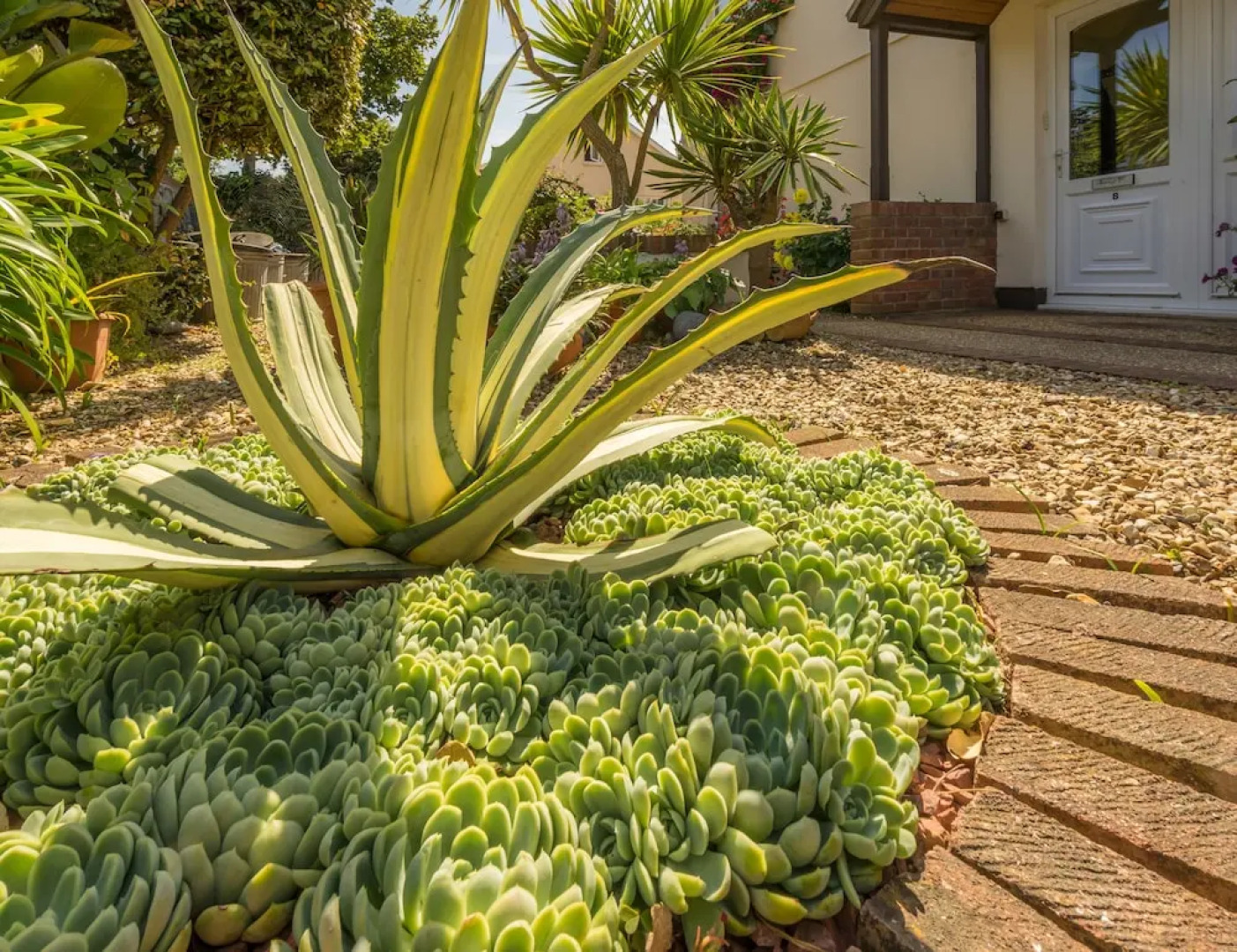 Beau Vallon Holiday Apartments