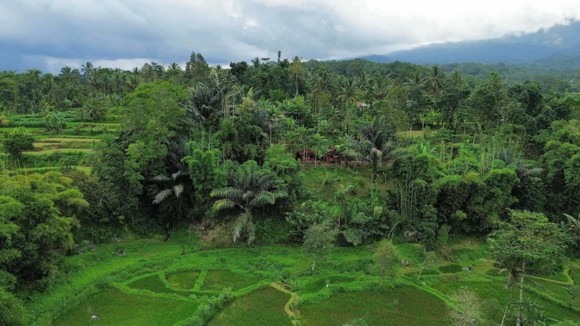 Serenity Lodge Tetebatu Lombok