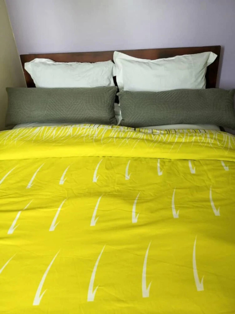 Remarkable 1 Bedroom Flat in Bonaberie Ancienne