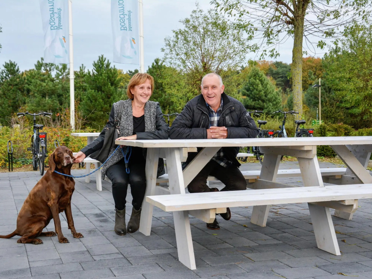 Villa in Maaspark With Lake Views