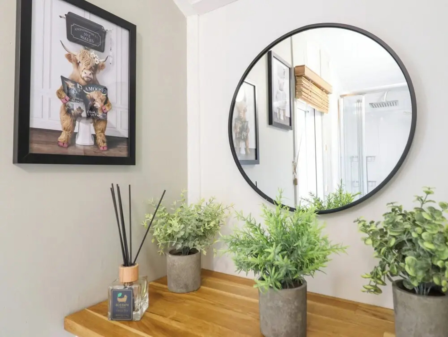 Red Kite at Wild Valley Huts