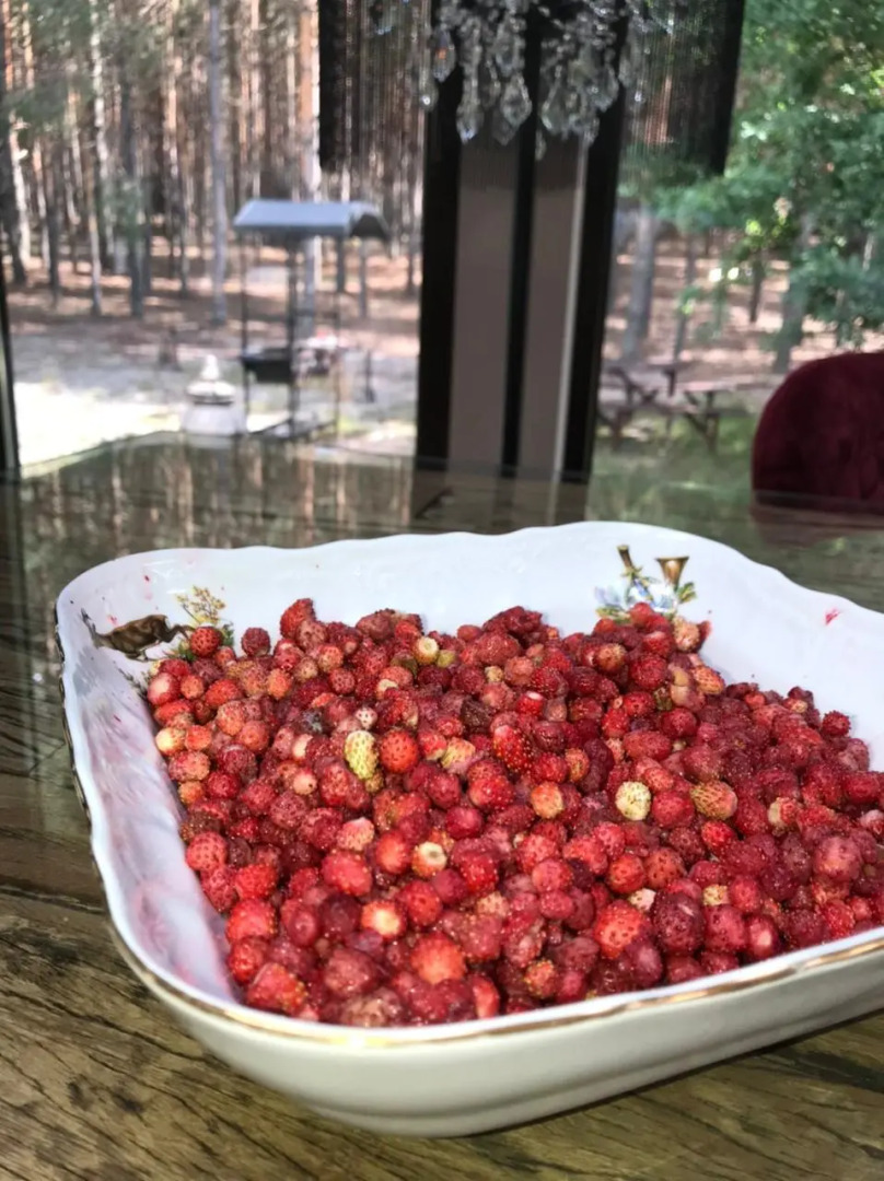 Эко-поместье Озера