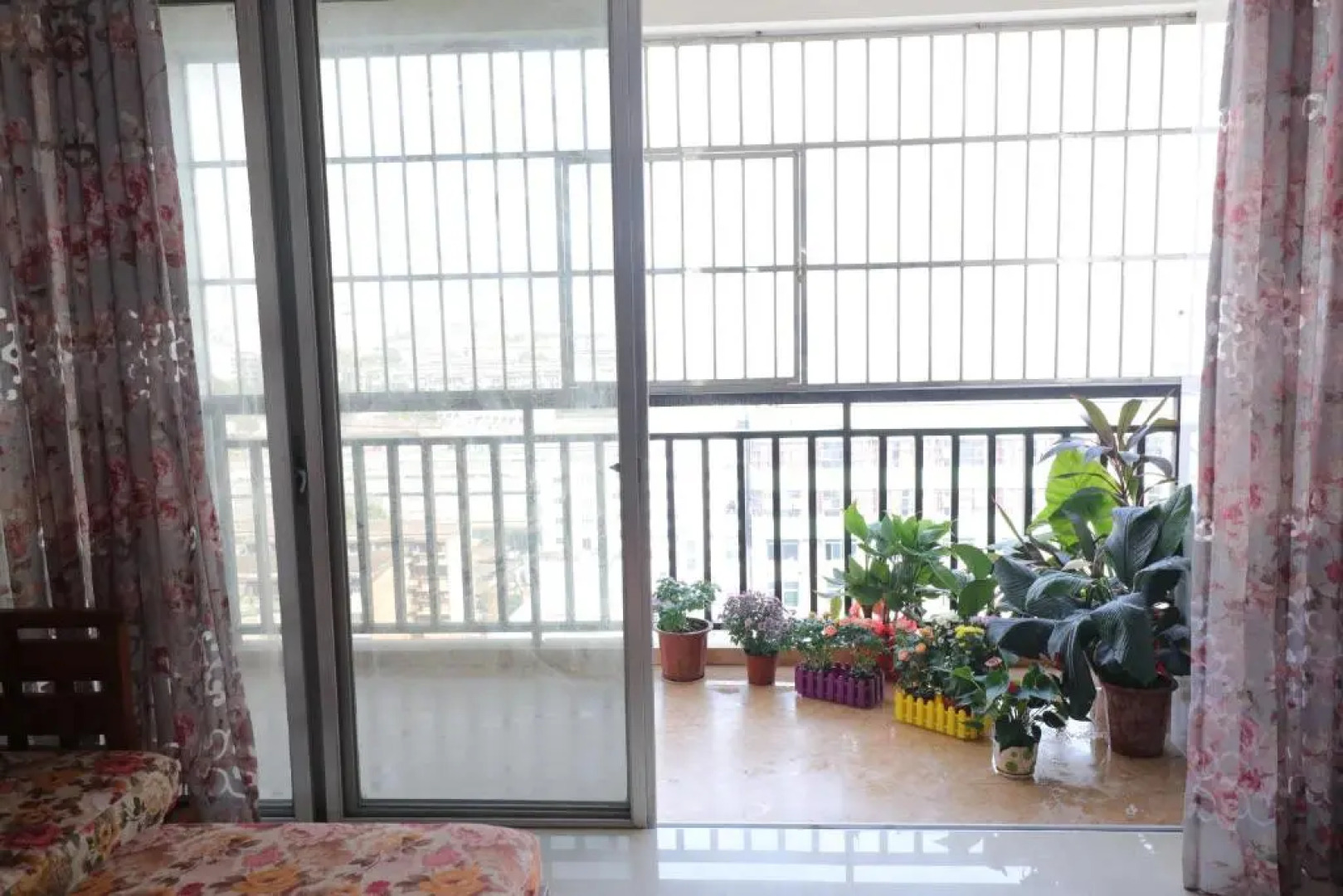 Pure Heart Youth Hostel