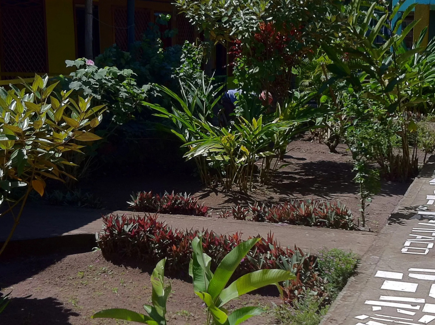 Hotel El Icaco Tortuguero