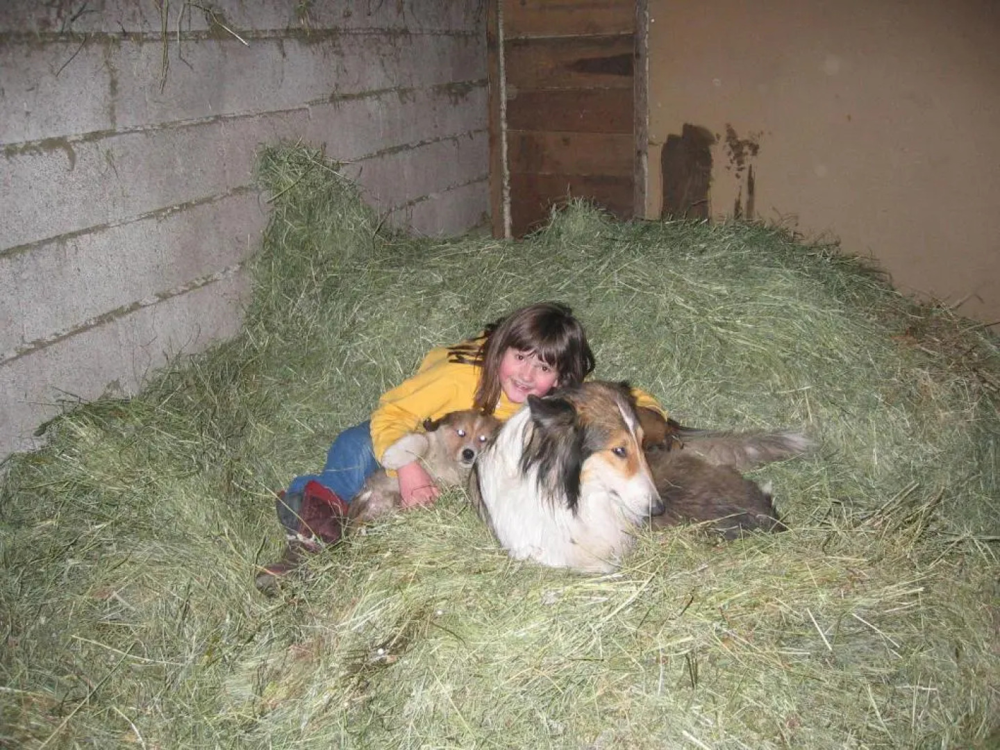 Appartamenti Maierhof