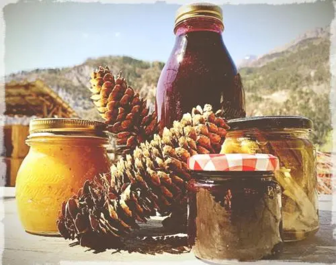 Agriturismo Athabaska