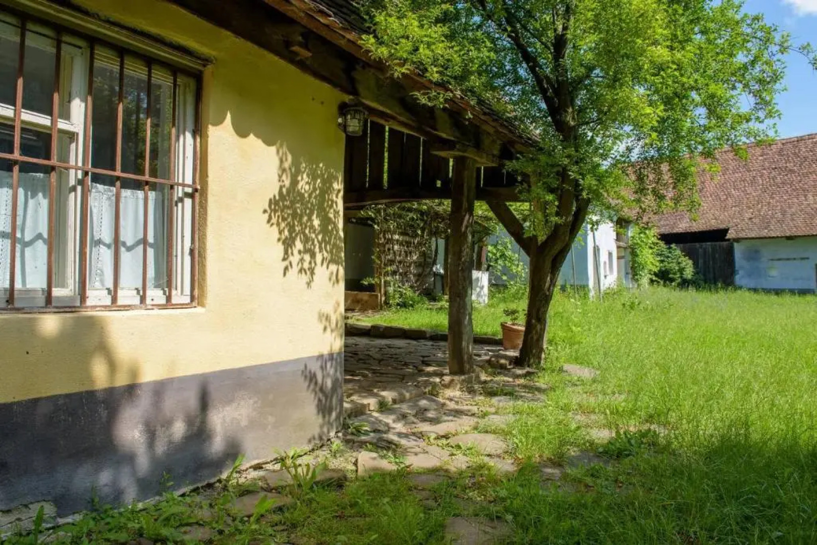 Experience Transylvania Criț 217