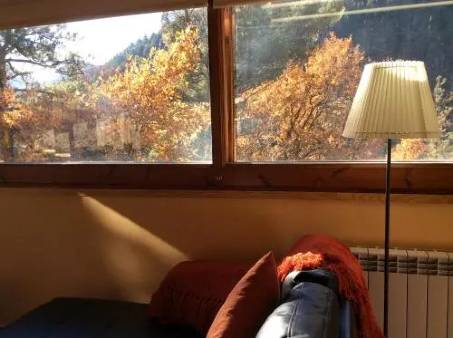 Els Apartaments del bosc