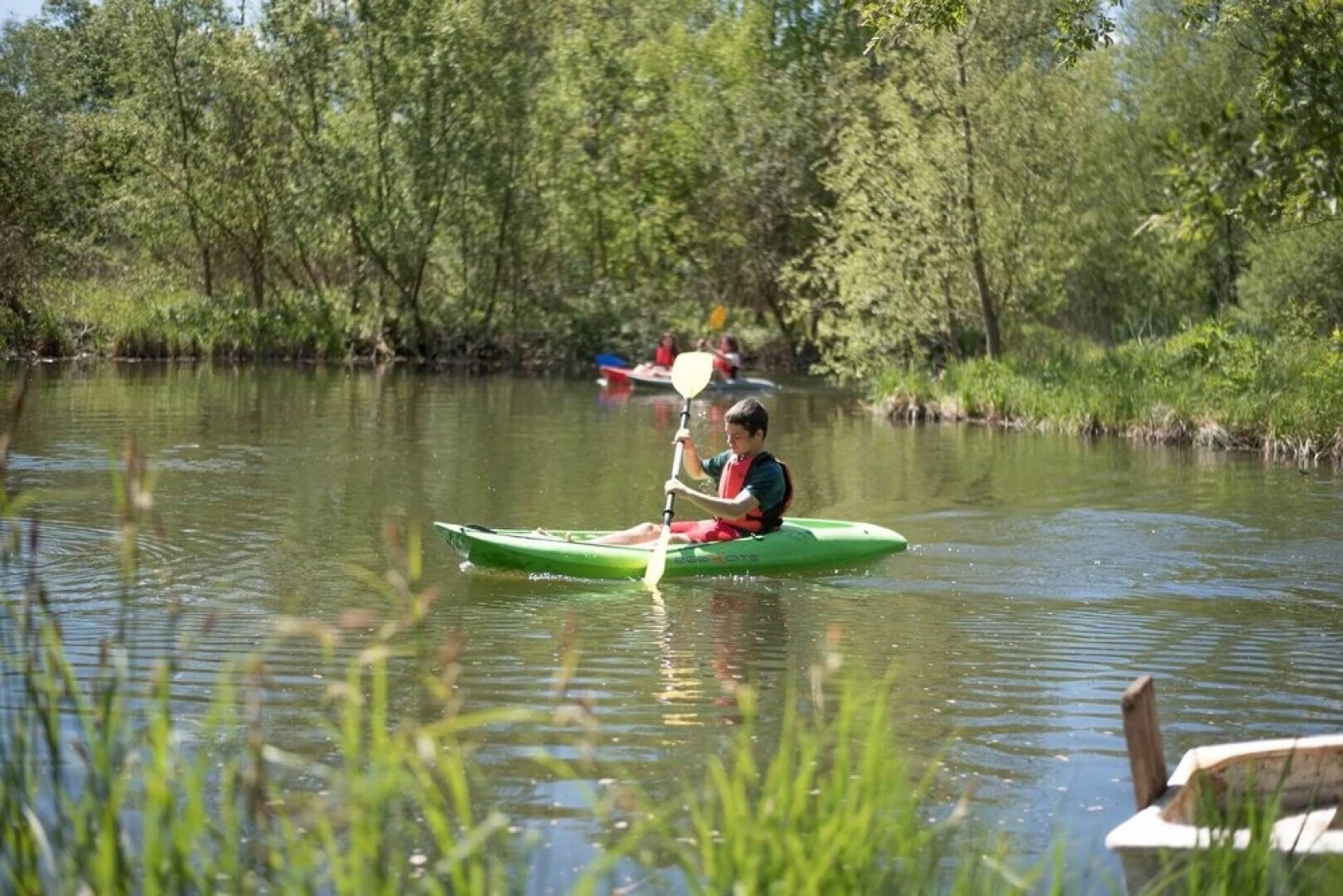 Magnolia, Kingfishers