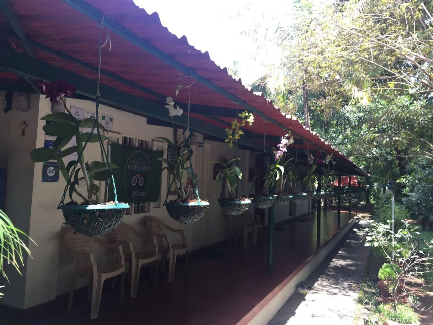 Palm Grove Service Villa