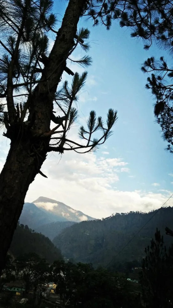 The Devdwar Yoga Resort