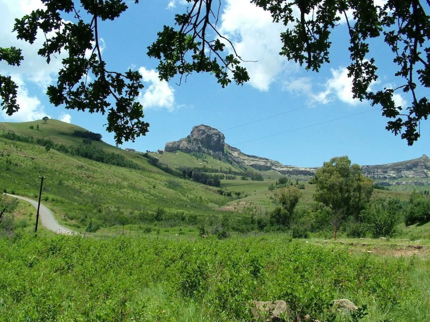 The Homestead Guest House and S-Catering