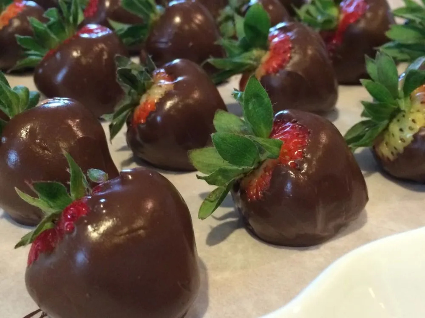 Brewster by the Sea Inn