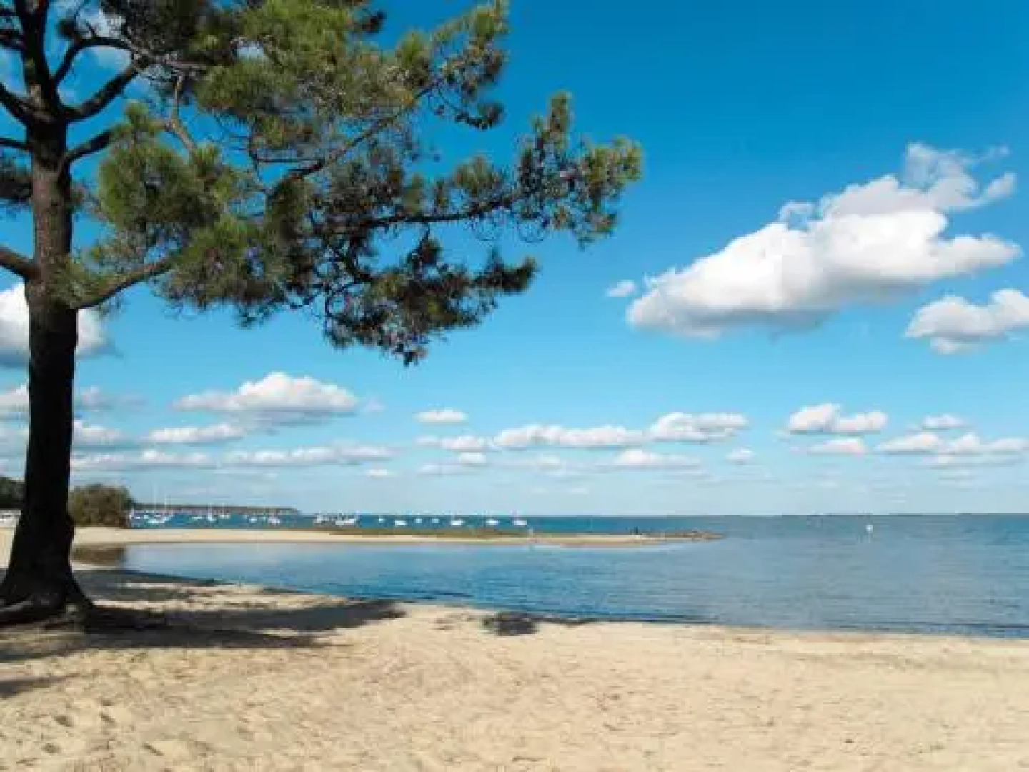 Ferienhaus Maubuisson 185S