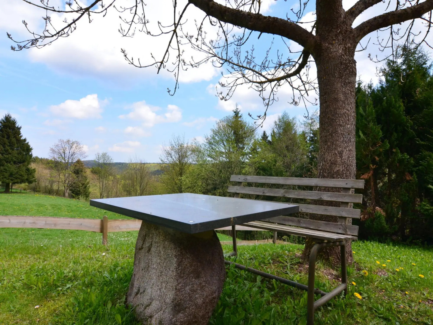 Small and Cozy Apartment in Frauenwald near Forest