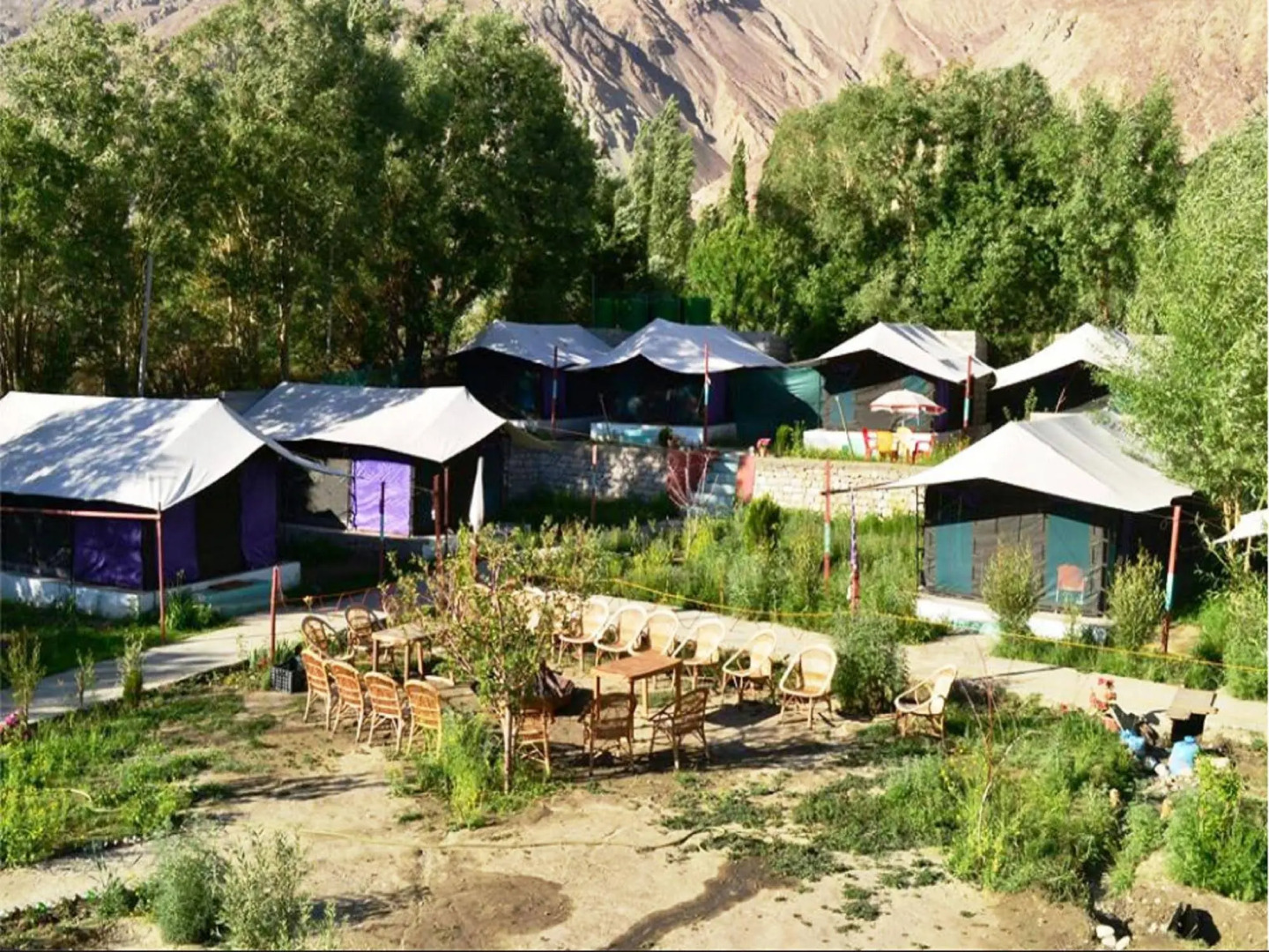 Valley Flower Camp Nubra