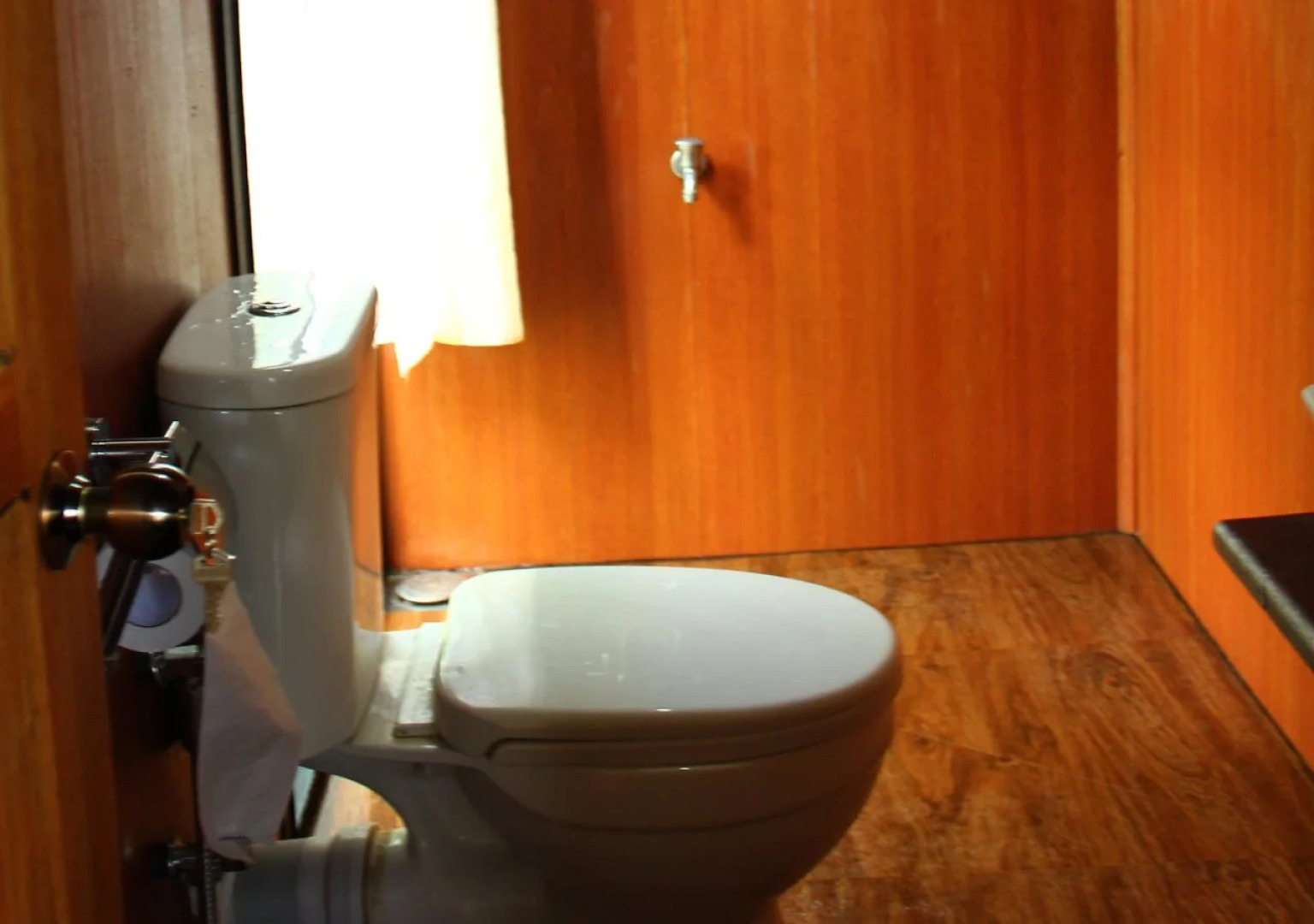 Thick forest sigiriya