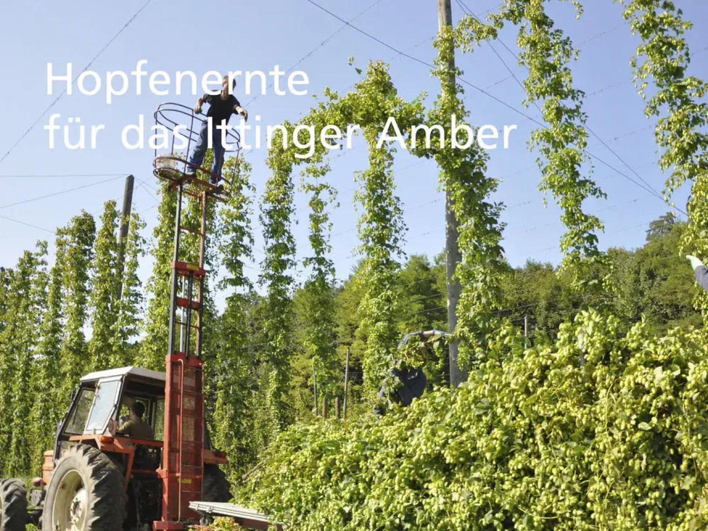 Stiftung Kartause Ittingen