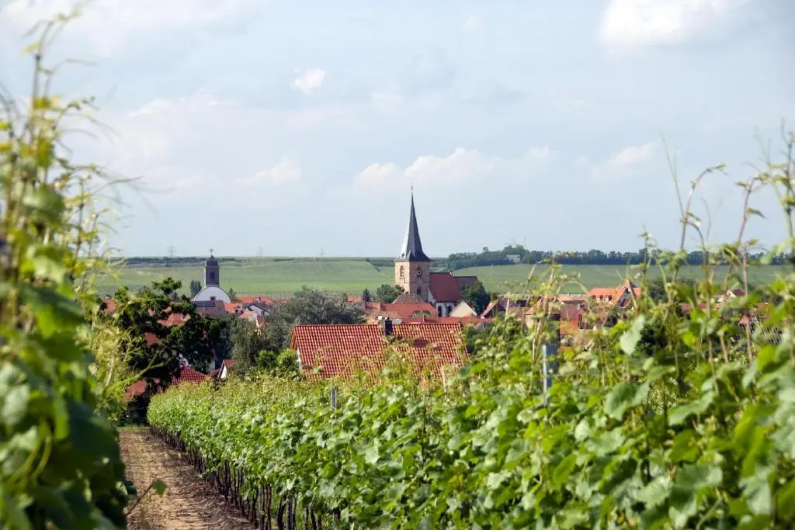 Bärengasse Apartments