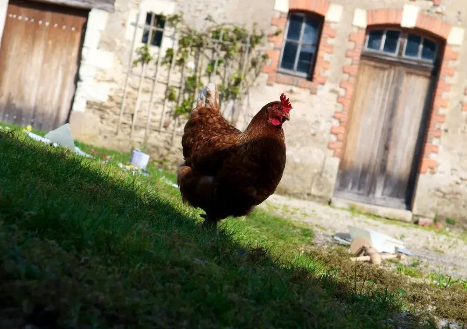 Château de Bois-Briand