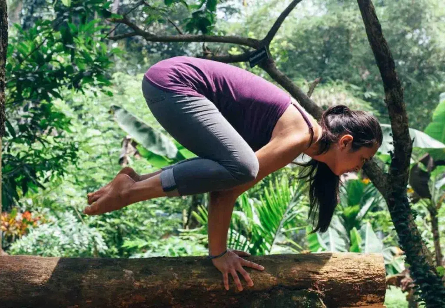 Hinterland Village Resort