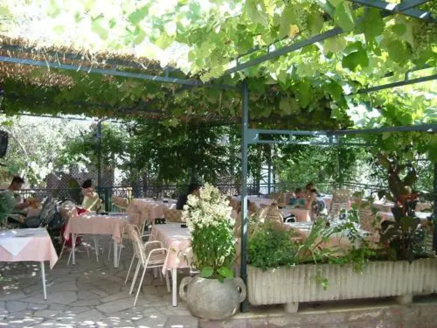 Apartments and Rooms Drago