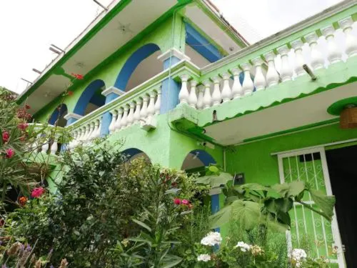 Iguana Hostel