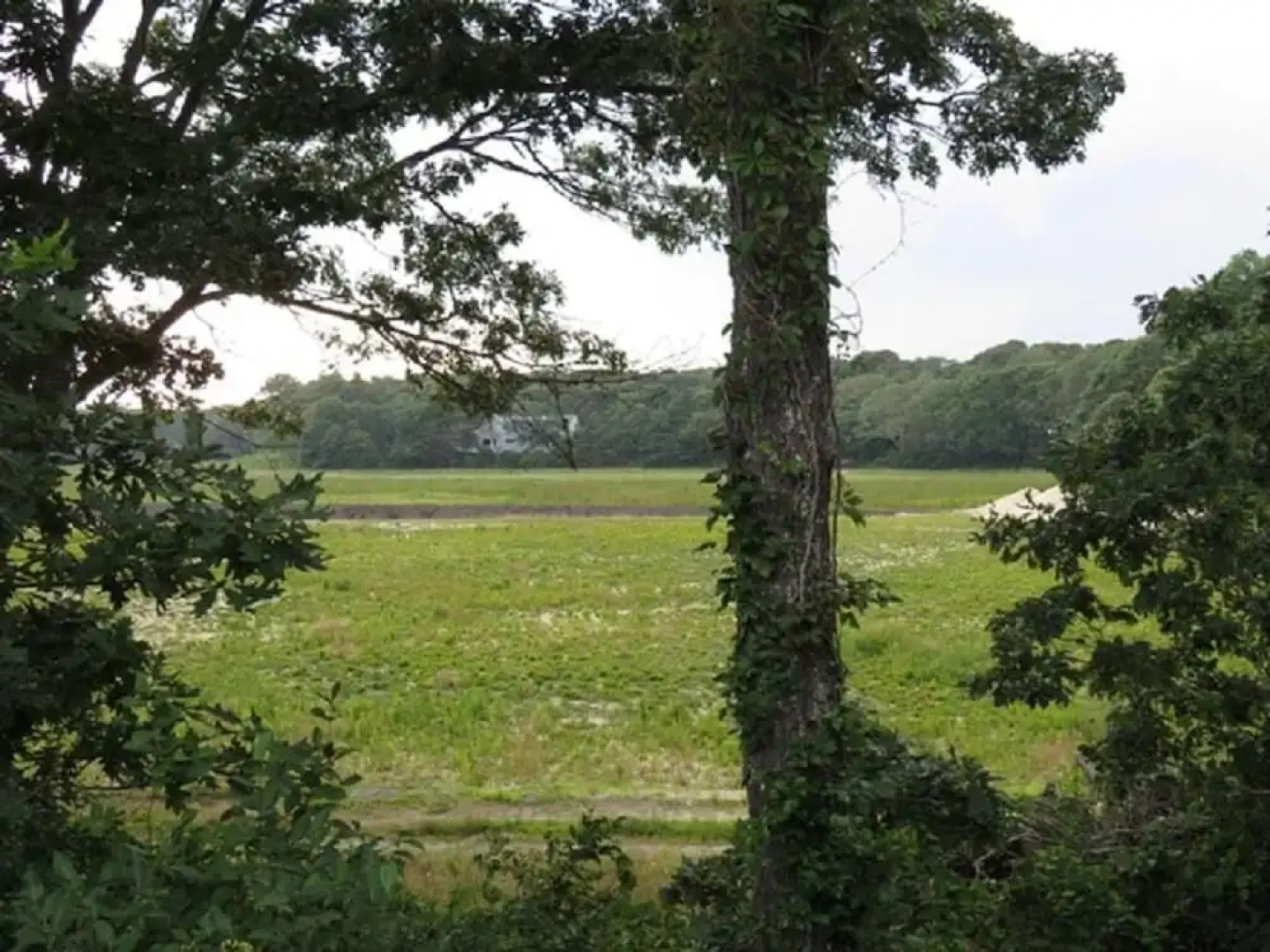 26 Whiteleys Way - Four Bedroom House