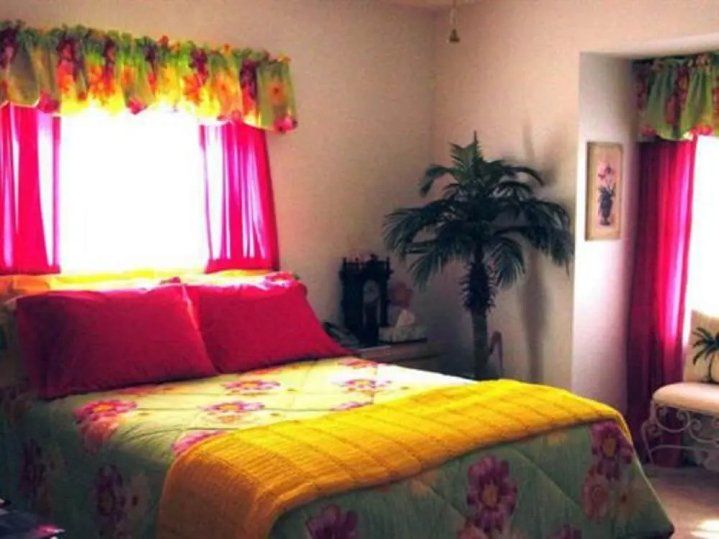 Tropical Paradise Bed & Breakfast