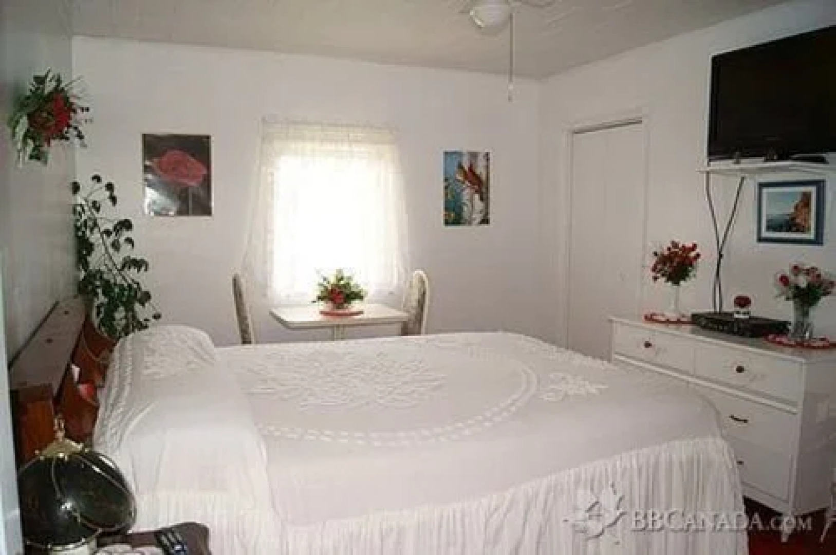 Lilly's Garden Guest Home