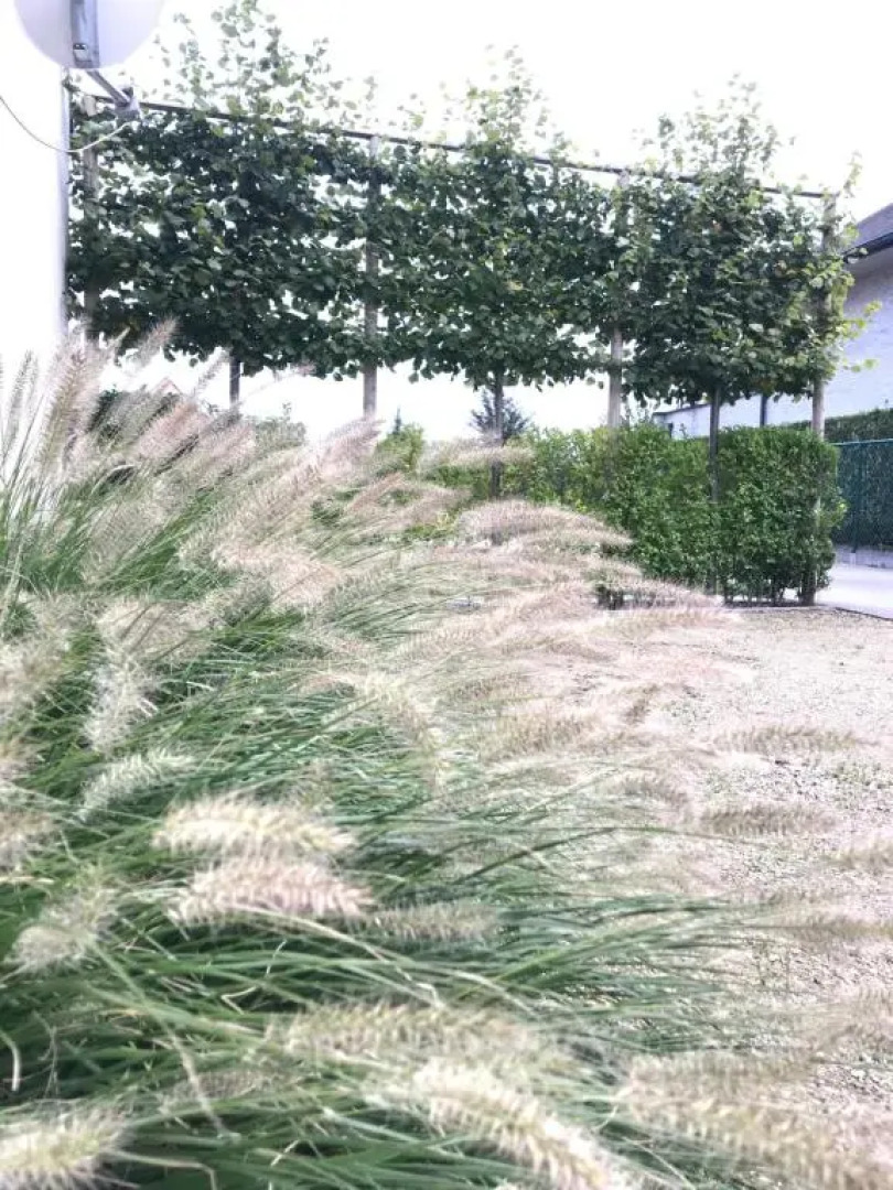 Holiday home De Levensgenieter