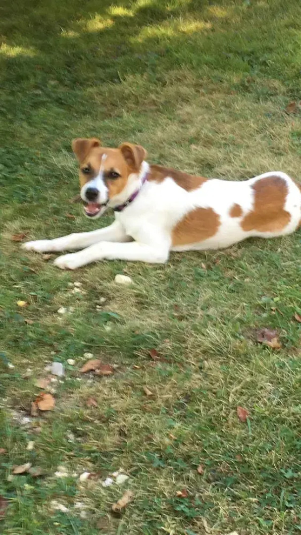 Bishop's Rest Porrentruy