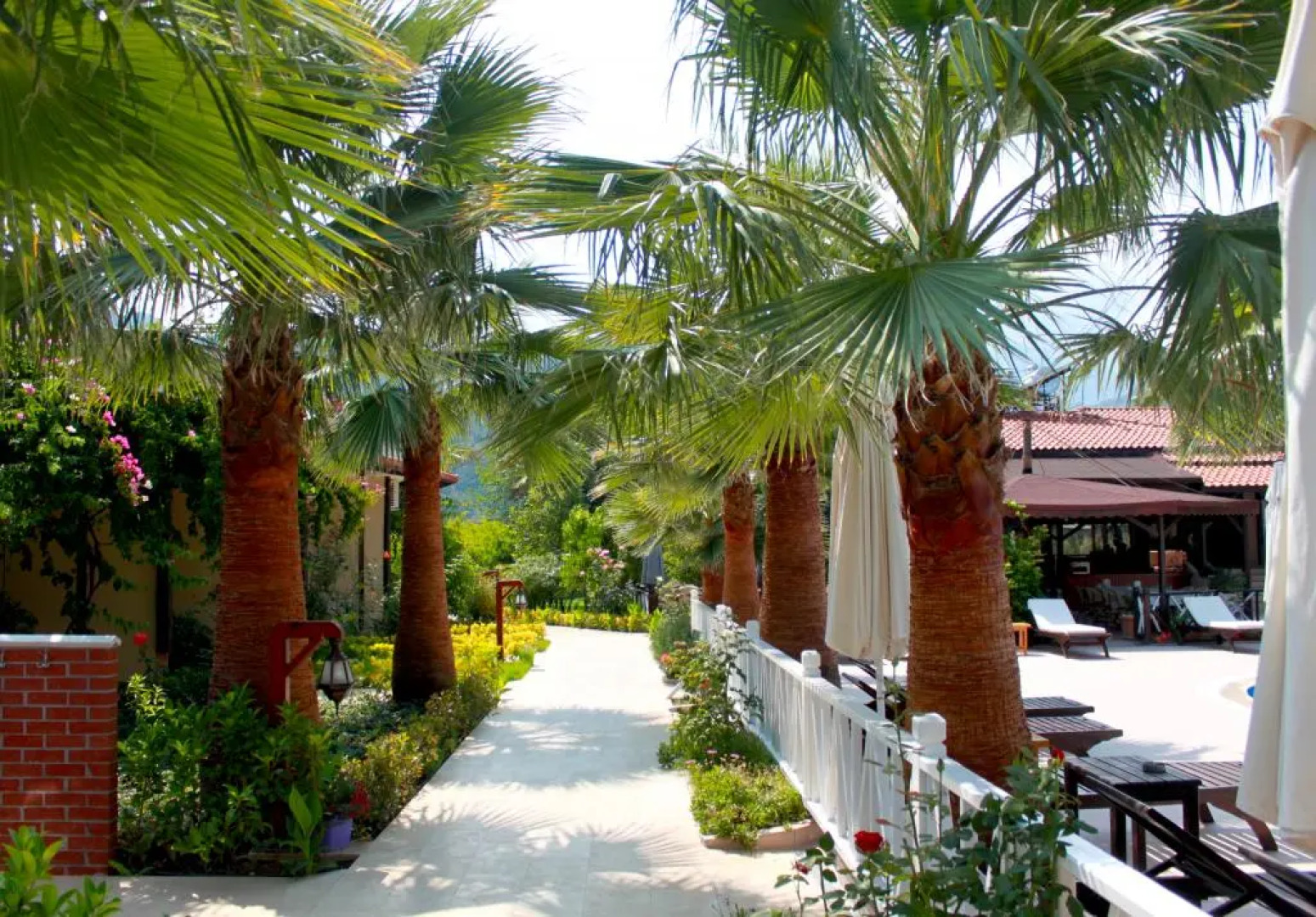 Nerissa Hotel - Special Class