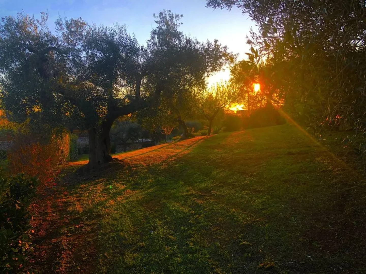 Villa With 2 Bedrooms in Alberobello, With Private Pool and Wifi