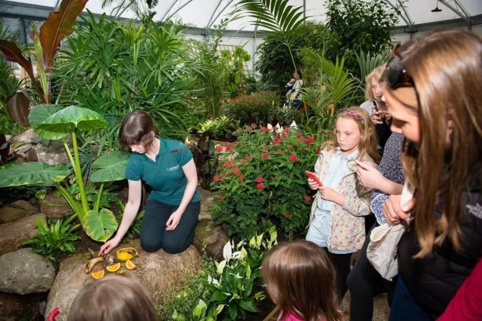 Macdonald Aviemore Hotel