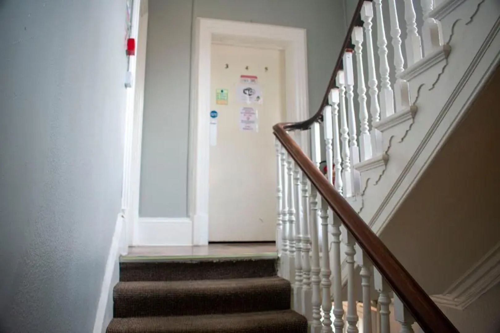 Paddys Palace Belfast