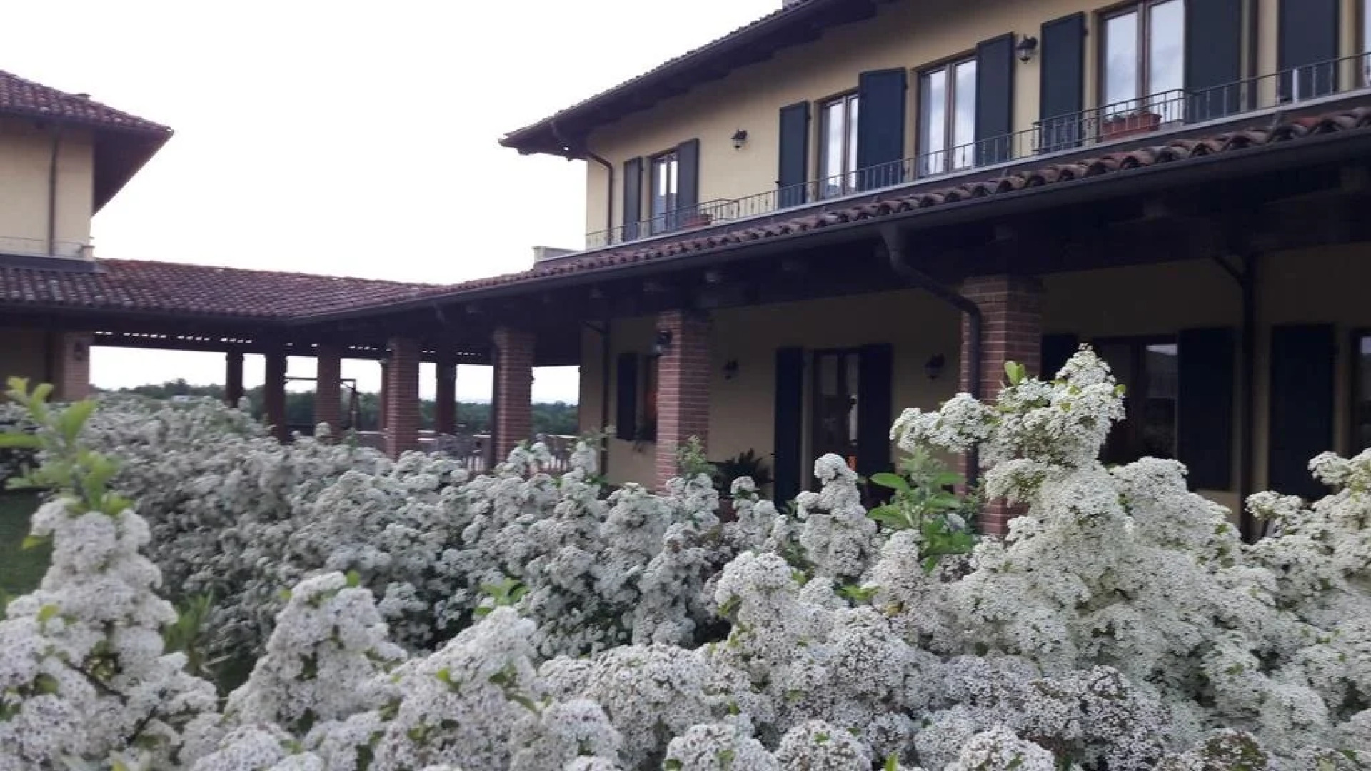 I Vigneti del Mandorlo